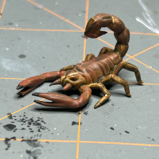 Picture of print of Giant Scorpion