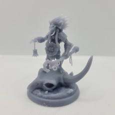 Picture of print of Mbonga the Hex master 32mm and 75mm pre-supported