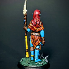 Picture of print of Troll female with spear 75mm pre-supported