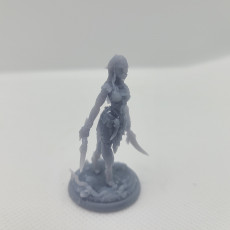 Picture of print of Troll female with daggers 75mm pre-supported