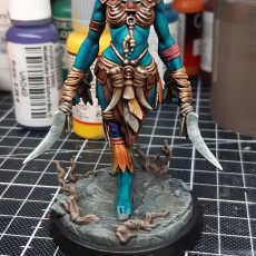 Picture of print of Troll female with daggers 75mm pre-supported