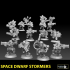 Space Dwarf Stormers image