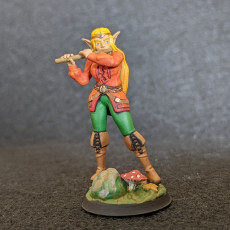 Picture of print of bard elf with flute