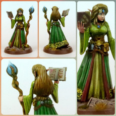 Picture of print of Elf mage