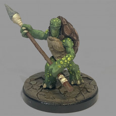 Picture of print of Tortle 03 - Lancer