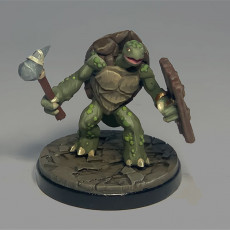 Picture of print of Tortle 05 - Shield