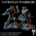 Tavroxan Warriors - 2 poses image