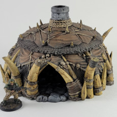 Picture of print of Shaman Hut
