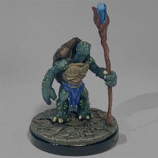 Picture of print of Tortle 06 - Staff
