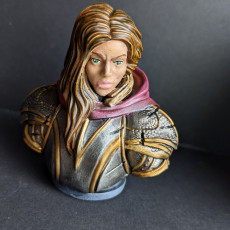 Picture of print of Female Armoured Bust - [Pre-Supported]