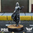 Alliance Outrider Scout (Pre Supported) - Icarus Games image