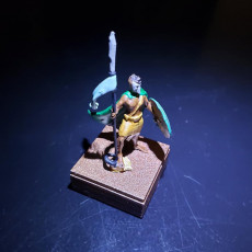 Picture of print of Phalanx Leader