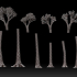 More Prehistoric Plants - Williamsonia and Modular Lepidodendron image