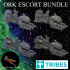 Ork Escort Bundle image