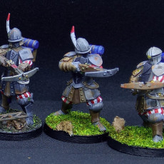 Picture of print of Vinci City Guard