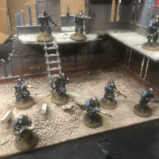 Picture of print of Death Squad Grenadiers of the Imperial Force