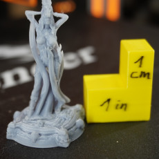 Picture of print of Boneflesh Necromancer (PRE-SUPPORTED 32mm&75mm)