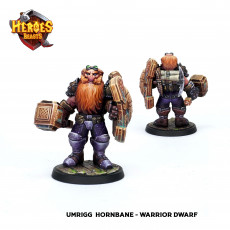 Picture of print of Umrigg  Hornbane - dwarf fighter