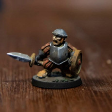 Picture of print of Halfling with Sword and Shield (pre supported) This print has been uploaded by Sarah Garber