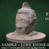 Lost Stone Head image