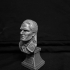 Henry Cavil - The Witcher Head Bust and Base image