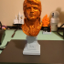 Elvis The Later Years Head Bust and Base print image