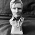 Elvis Presley - The Middle Years Head Bust and Base image