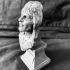 Freddie Mercury - Queen Inspired head Bust and Base image