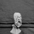 David Gilmour -A rock Inspired Head Bust and Base image