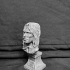 Aragorn - A Lord of the rings Inspired Head Bust and Base image