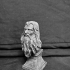 Sir Ian McKellen - Gandalf -  A lord Of The Rings Inspired Head Bust and Base image