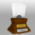 Runmmy Championship Trophy image