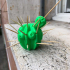 toothpick cactus image