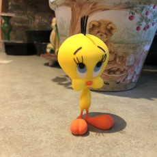 Picture of print of Tweety
