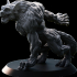 Abyssal Werewolf image