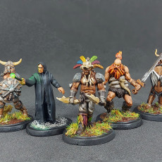 Picture of print of Fantasy Series 09 Bundle, 5x minis - PRE-SUPPORTED