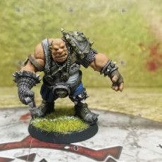 Picture of print of STRONG ZOG - HALF OGRE FANTASY FOOTBALL This print has been uploaded by Galladur's 3D printed models