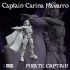 Captain Carina Navarro - Space Pirates Collection image