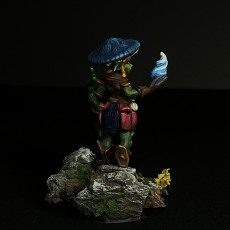 Picture of print of Goblin Druid