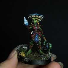 Picture of print of Goblin Druid