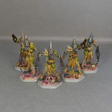 Picture of print of Grove Acolytes x 3