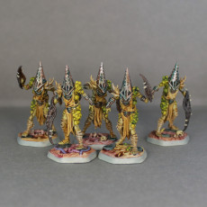 Picture of print of Grove Acolytes x 3