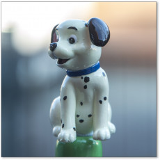 Picture of print of Dalmatian