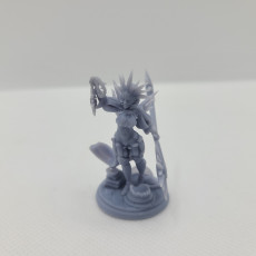 Picture of print of Sun-Cleric Devotee
