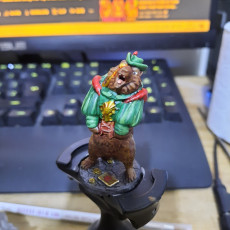 Picture of print of Sir Bearington the Knight