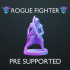 Rogue Fighter - Pre Supported image