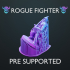 Rogue Fighter - Pre Supported image