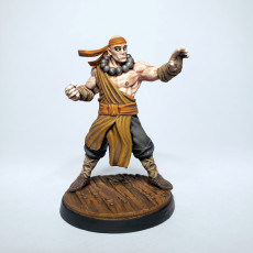 Picture of print of Human Monk Fighter 1A Miniature - Pre-Supported