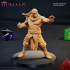 Human Monk Fighter 1A Miniature - Pre-Supported image
