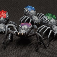 Picture of print of Giant Spiders - Basic Monsters Collection This print has been uploaded by TCdeG